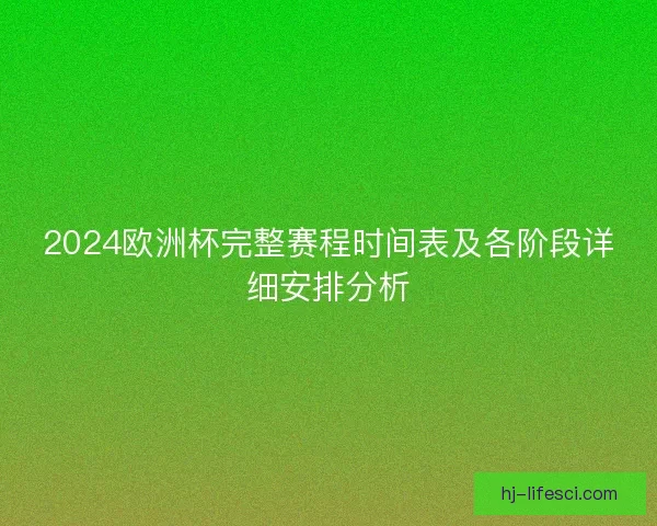 2024欧洲杯完整赛程时间表及各阶段详细安排分析
