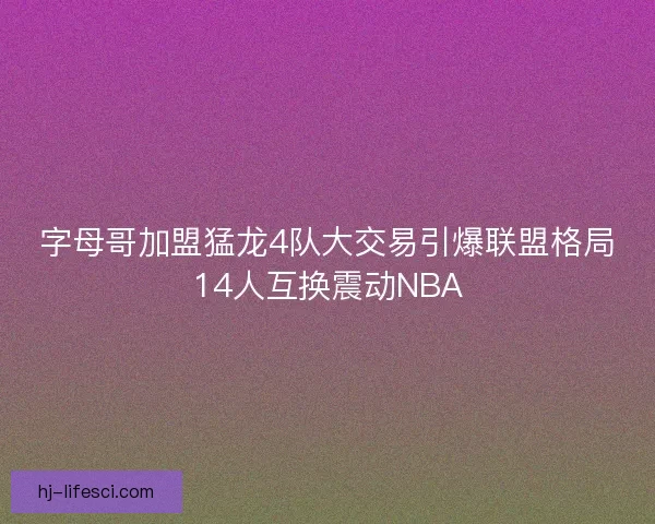 字母哥加盟猛龙4队大交易引爆联盟格局14人互换震动NBA 字母哥加盟猛龙4队大交易引爆联盟格局14人互换震动NBA