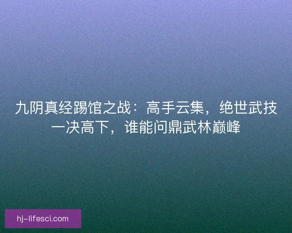 九阴真经踢馆之战：高手云集，绝世武技一决高下，谁能问鼎武林巅峰