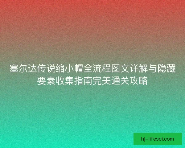 塞尔达传说缩小帽全流程图文详解与隐藏要素收集指南完美通关攻略 塞尔达传说缩小帽全流程图文详解与隐藏要素收集指南完美通关攻略