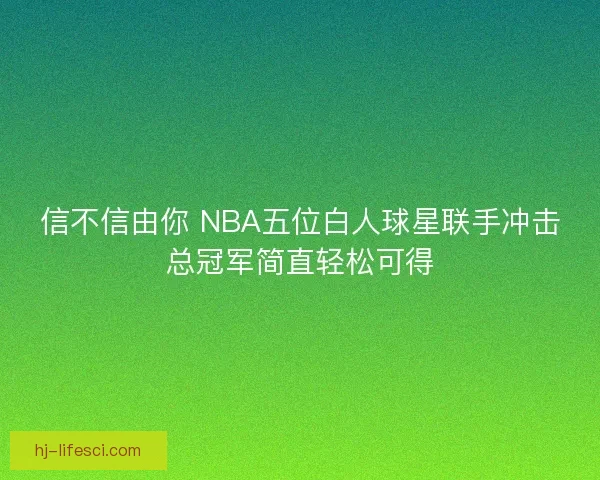信不信由你 NBA五位白人球星联手冲击总冠军简直轻松可得