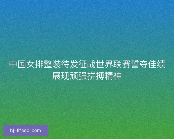 中国女排整装待发征战世界联赛誓夺佳绩展现顽强拼搏精神