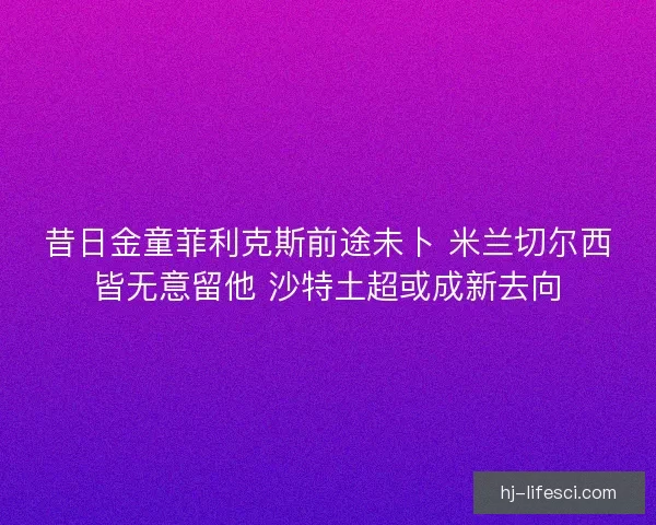 昔日金童菲利克斯前途未卜 米兰切尔西皆无意留他 沙特土超或成新去向