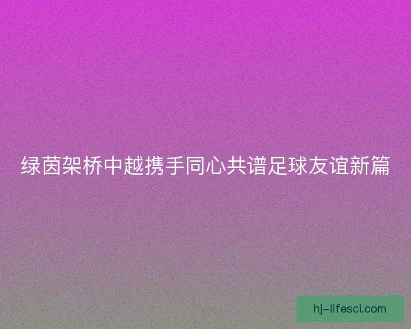 绿茵架桥中越携手同心共谱足球友谊新篇