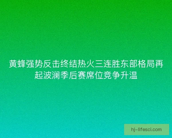 黄蜂强势反击终结热火三连胜东部格局再起波澜季后赛席位竞争升温 黄蜂强势反击终结热火三连胜东部格局再起波澜季后赛席位竞争升温