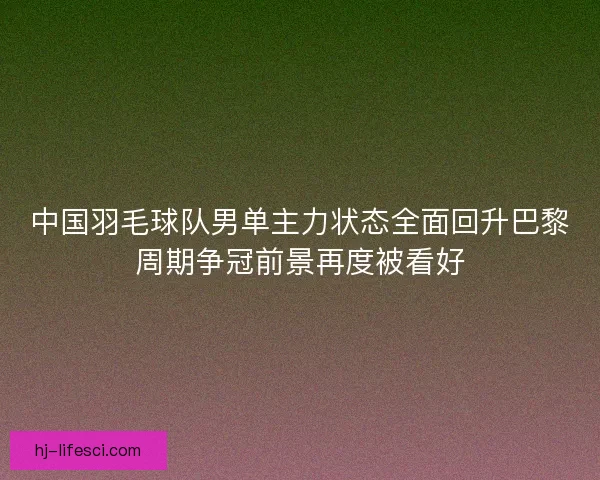 中国羽毛球队男单主力状态全面回升巴黎周期争冠前景再度被看好 中国羽毛球队男单主力状态全面回升巴黎周期争冠前景再度被看好